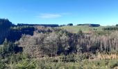 Tour Wandern Lierneux - lierneux . promenade aérienne dans la vallee de la lienne - Photo 10