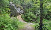 Tocht Mountainbike Seyssins - Les Hauts du Peuil en VTTAE  - Photo 3