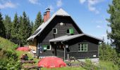 Percorso A piedi Gemeinde Spital am Semmering - Wanderweg 6 - Photo 8