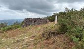 Trail Walking Urrugne - Urrugne - sur les pas de la Betizu  - Photo 1