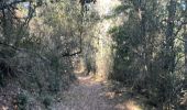 Trail Walking Vira - Vira forêt de Boucherville - Photo 9
