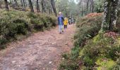 Trail Walking Fontainebleau - la faisanderie 20 octobre 2023 - Photo 2