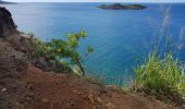 Trail Walking Bouillante - petit malendure - Photo 13