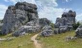 Trail Walking Fraissinet-de-Fourques - Nime le Vieux 10 km - Photo 5