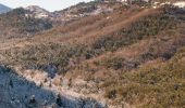 Percorso Racchette da neve Andon - Descente vers le Loup en raquettes - Photo 3