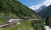 Tour Zu Fuß Gurtnellen - Arnisee - Gurtnellen - Photo 3