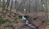 Tour Wandern Sprimont - 20240212 - Banneux 7.1 Km - Photo 5