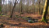 Excursión Senderismo Vieux-Moulin - en forêt de Compiègne_25_les Tournantes du Mont Saint-Pierre - Photo 11