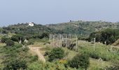 Randonnée Marche Argelès-sur-Mer - plage des ouilles - Photo 2