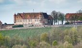 Tour Zu Fuß Untergruppenbach - Untergruppenbach Rundwanderweg R - Photo 2