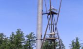 Randonnée Marche Gedinne - GEDINNE (Depuis la tour du Millénaire par la forêt de Rienne et le monument Bruck). - Photo 2