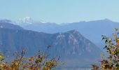 Tocht Stappen Apremont - col du Granier / pointe de la Gorgeat - Photo 7