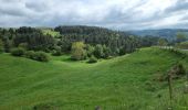 Tocht Stappen Alleyras - vers Montrisol d'Allier - Photo 6