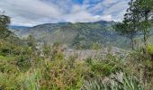 Excursión Senderismo Baños de Agua Santa - Baños - Casa del Arbol - Photo 13