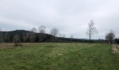 Trail Walking Léglise - Ebly - Photo 8