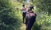 Trail Horseback riding Charency-Vezin - 2ème jour chez Juliette  - Photo 2