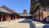 Tocht Stappen Unknown - Visite Baekje Cultural Land - Photo 10