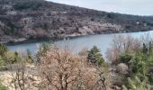 Trail Walking Mane - mane . Le lac de la laye  . - Photo 1