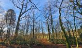 Tour Wandern Soumagne - Domaine de Wégimont  - Photo 5