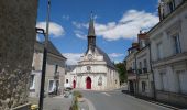 Randonnée Marche Saint-Ouen-les-Vignes - Saint-Ouen-les-Vignes - Pocé-sur-Cisse 460 - 23.9km 460m 5h40 - 2022 05 29 - Photo 3