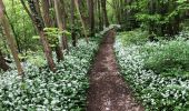 Tocht Stappen Chaudfontaine - Beaufay-Embourg-Tilf 11km - Photo 9