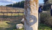 Tour Wandern Jonquières-Saint-Vincent - Jonquières - Enclos argent Milliaire - Photo 3