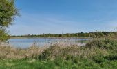 Percorso Marcia Mézières-en-Brenne - Mézières - Domaine de Bellebouche - Photo 5