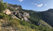 Randonnée Marche Gémenos - Col de Bertagne depuis l'espigoulier - Photo 20