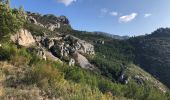 Excursión Senderismo Gémenos - Col de Bertagne depuis l'espigoulier - Photo 20