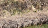 Tour Wandern Castellet-en-Luberon - St Martin de Castillon - Caseneuve - Photo 3