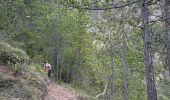 Tocht  Châtillon-en-Diois - Châtillon en Diois col de Caux  - Photo 7