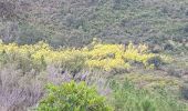 Tour Wandern Fréjus - rando du 19 février 2021 - Photo 1