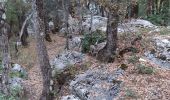 Trail Walking Plan-d'Aups-Sainte-Baume - l'huveaune - Photo 18