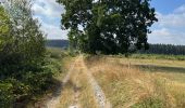 Trail Walking Vielsalm - Initiation bivouac j1 - Photo 17