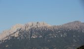 Percorso A piedi Dorgali - Grande Traversata Supramontes Tappa 3 - Photo 3