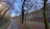 Tour Wandern Theux - Theux Natura 2000 château Franchimont - Photo 11