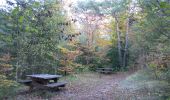 Trail Walking Die - Le Glandasse (Abbaye-Comptoir à moutons-Fauchard-Abbaye) - Photo 6