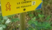 Excursión Senderismo Corrèze - Chemin du Paradis - Photo 3