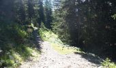 Tour Wandern Les Houches - Trajet Aiguillette des Houches - Photo 20