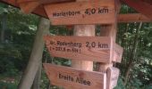 Percorso A piedi Harbke - Lappwald Rundwanderweg 27 - Photo 9