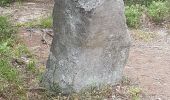 Randonnée Marche Muhlbach-sur-Bruche - Le Jardin des Fées par la cascade de Soulzbach - Photo 17