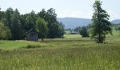 Tour Zu Fuß Wädenswil - Schlieregg - Schönenberg - Photo 5