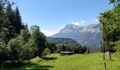 Excursión Senderismo Arâches-la-Frasse - randonnée en forêt, les Carroz, Araches, la Frasse - Photo 12