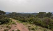 Trail Walking Cuers - Cuers .la bouisse , le roucas de mounier - Photo 12