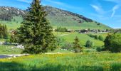 Tour Wandern Brizon - BARGY: SOLAISON - CENISE PAR LE MAUVAIS PAS - ROCHERS DE LESCHAUX - Photo 1