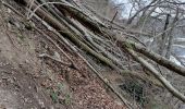 Excursión Senderismo Neupré - Roche aux Faucons - Boucle de l'Ourthe  - Photo 4