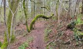 Trail Walking Vresse-sur-Semois - Orchimont 250423 - Photo 1