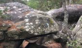 Trail Walking Fontainebleau - Apremont  - Photo 2