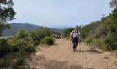 Randonnée Marche Hyères - les borelles 2 bis - Photo 3