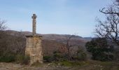 Tour Nordic Walking Octon - Octon Dolmens de Toucou - Photo 1